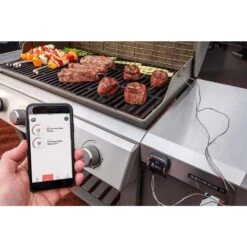 Weber IGrill 3 Digital Bluetooth Enabled Grill/Meat Thermometer -Traeger Egg Store 2597c5a6 0d1f 4532 bf83 015395b16749