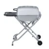 PK Grills 22 In. PK-TX Charcoal Grill And Smoker Silver -Traeger Egg Store 5093533c 66f2 4a7f bd91 c7af30f9e778