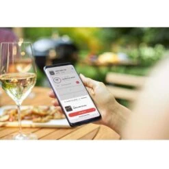 Weber Connect Digital WiFi Enabled Bluetooth Enabled Grill/Meat Thermometer -Traeger Egg Store 549b1369 5128 4371 9b1d 22606c8f946c