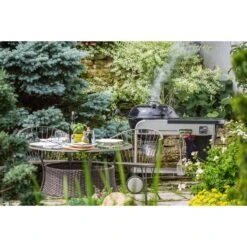 Weber 22 In. Performer Premium Charcoal Grill Black -Traeger Egg Store 73a92e70 6378 4a07 b7b8 e8180bdca828