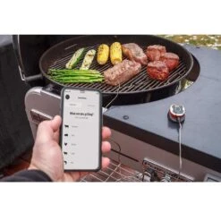 Weber IGrill Mini Digital Bluetooth Enabled Grill/Meat Thermometer -Traeger Egg Store 7bc1ebce 1a2b 40f2 985a e5c5bf980b2d