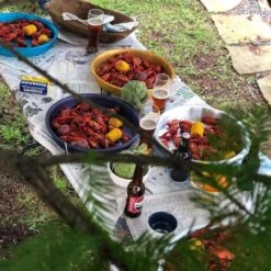 Bayou Classic 367000 BTU Stainless Steel Double Jet Outdoor Cooker 367000 BTU -Traeger Egg Store 85f9a385 4115 41f7 9b34 09c3387c0ea0