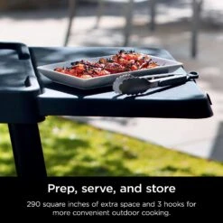Ninja Woodfire Grill Side Table Plastic 1.53 In. H X 14.56 In. W X 22.32 In. L 9 Ninja Woodfire Grill Side Table Plastic 1.53 In. H X 14.56 In. W X 22.32 In. L -Traeger Egg Store 93e015d1 b431 4c5b bb42 6eb99ae89a25