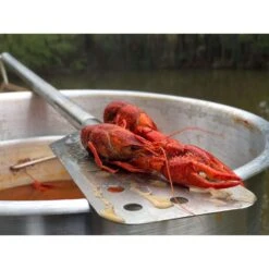 Bayou Classic Stainless Steel Silver Longarm Stir Paddle 1 Pc -Traeger Egg Store b1a5b018 b380 4e34 8fb7 adced88b37e1