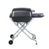 PK Grills 22 In. PK-TX Charcoal Grill And Smoker Graphite 1 PK Grills 22 In. PK-TX Charcoal Grill And Smoker Graphite -Traeger Egg Store ee4313b3 64cc 4c62 97ac 8efe8401ad46