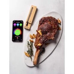 Traeger Meater Plus Bluetooth Enabled Meat Thermometer -Traeger Egg Store f03512ea 5237 4eba acd7 de6d66dbe2f7