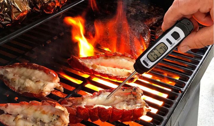 Traeger Egg Store 39 Traeger Egg Store -Traeger Egg Store types of bbq thermometer